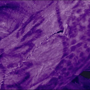 2 bin 500 yillik mumyada dovme oldugu tespit edildi 1ECSWsEn