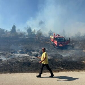 boluda yangin alevler yerlesim alanlarina yaklasiyor vLsw2Iyq
