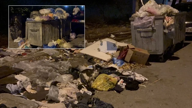 kartalda caddelerde cop daglari HBOXSzWz