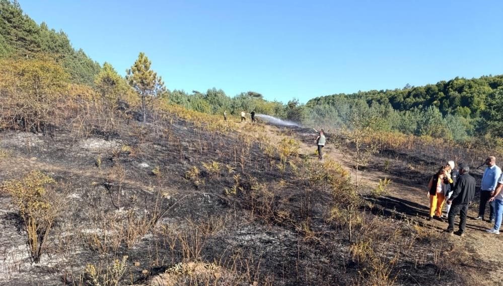 bilecikte orman yangini panigi StxGpkKS