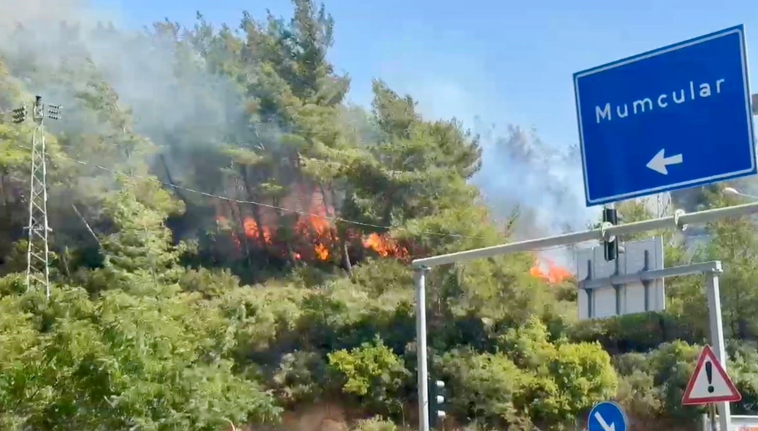 bodrum orman yangini kontrol altina alindi NRAUMNPF