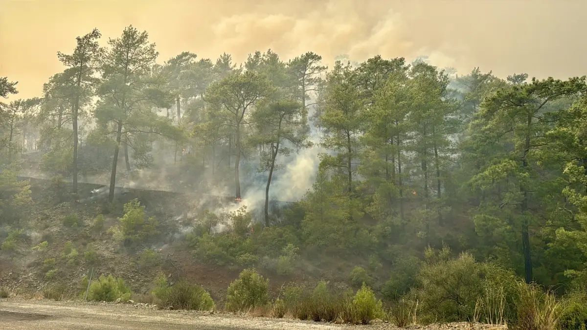 koycegizde orman yangini ikinci gunde ArcKqfjA