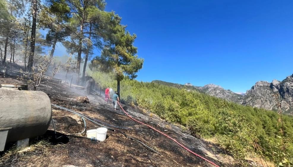 orman yanginlarinda yasamini yitiren gonullulerin yakinlarina maas baglanacak wtjzqGpL