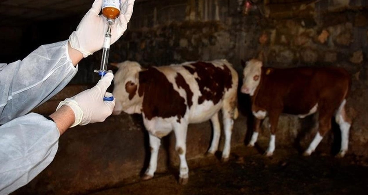 sap hastaliginin ardindan bir de bu cikti CLbJeuyl