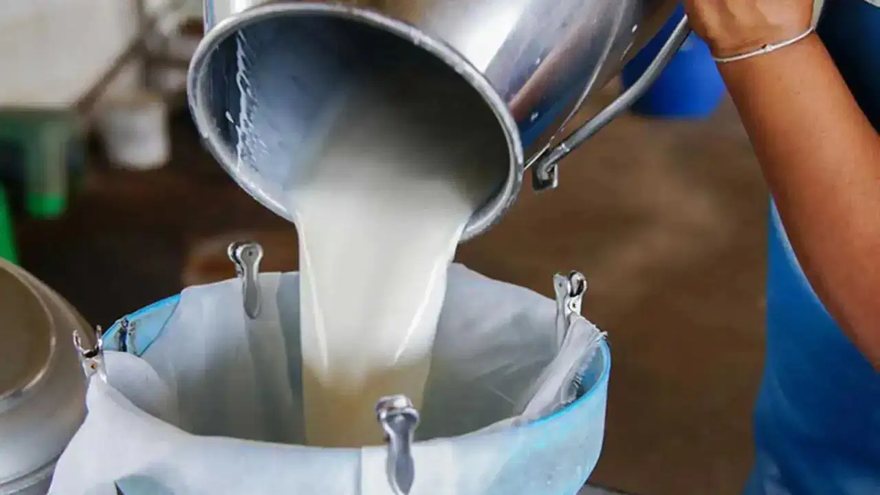 ulusal sut konseyi acikladi cig sut fiyatlarina zam geldi UBmAZQ6w