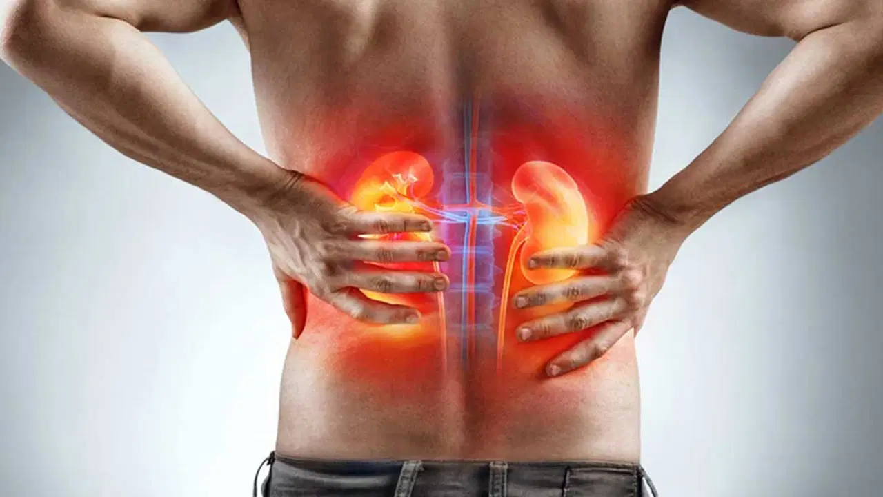 uroloji uzmani uyardi 45 yas ustune prostat ve bobrek muayenesi sart FzAKQCCD