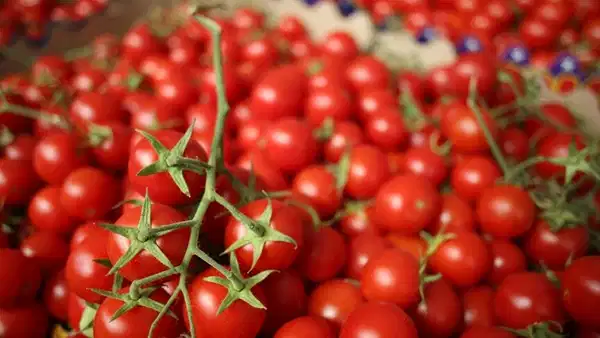 chpli-gencten-hayat-pahaliligi-tepkisi-domatesin-tanesi-16-lira-N2TTpJ5M