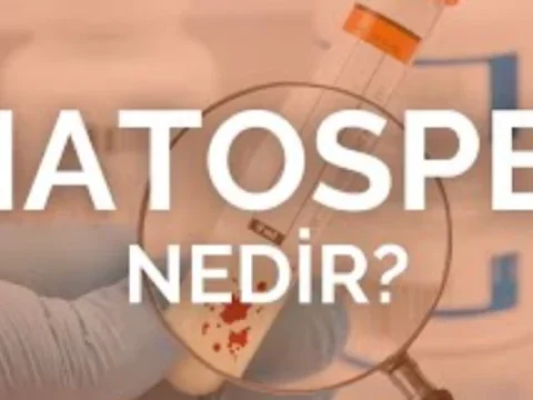 Kanda Sperm Neden Olur? Hematosperm Hakkında Bilinmesi Gerekenler