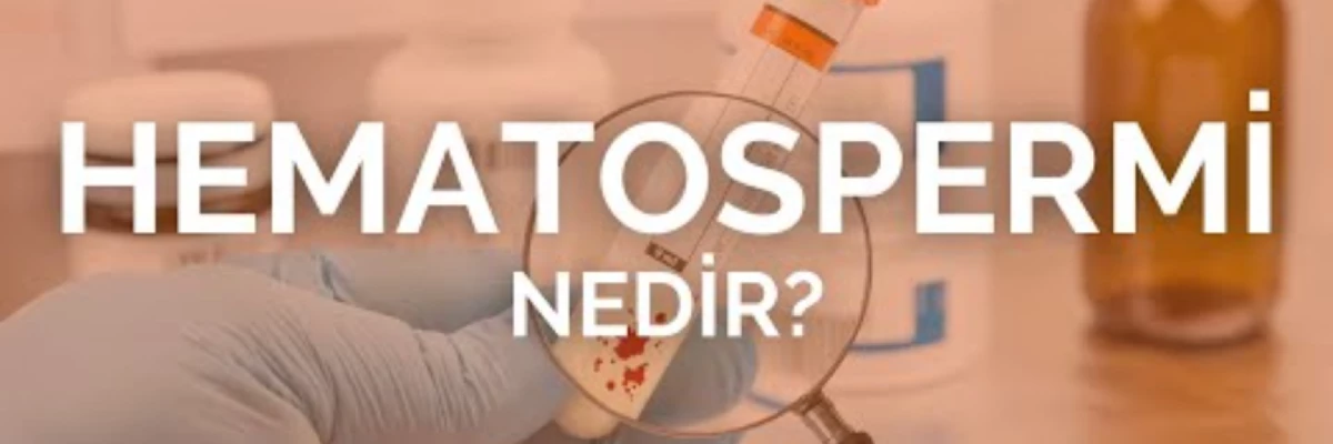 Kanda Sperm Neden Olur? Hematosperm Hakkında Bilinmesi Gerekenler